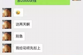 陆丰专业催债公司的市场需求和前景分析